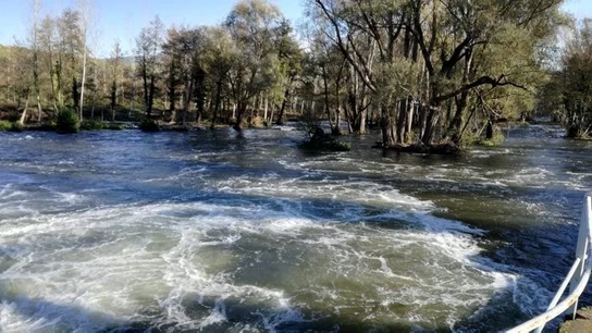 Tramo del río Ter Tramo del río Ter
