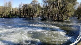 Tramo del r&iacute;o Ter
