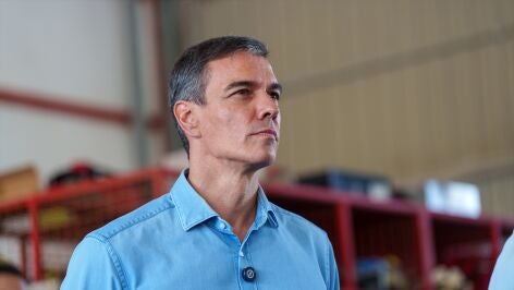 Pedro S&aacute;nchez