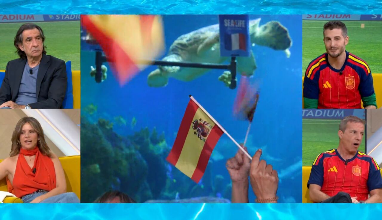 El pron&oacute;stico de la tortuga Yellow para el Francia - Espa&ntilde;a