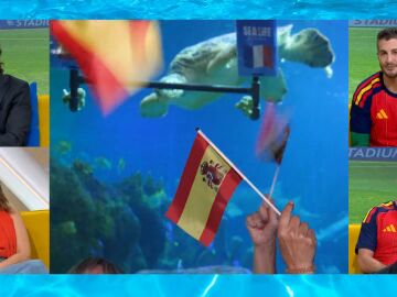 El pron&oacute;stico de la tortuga Yellow para el Francia - Espa&ntilde;a