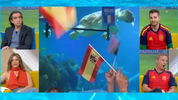 El pronóstico de la tortuga Yellow para el Francia - España El pronóstico de la tortuga Yellow para el Francia - España