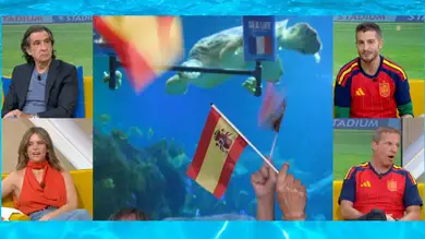 La tortuga Yellow y su vaticino más esperado del Mundial: ¿Quién ganará, Francia o España? La tortuga Yellow y su vaticino más esperado del Mundial: ¿Quién ganará, Francia o España?
