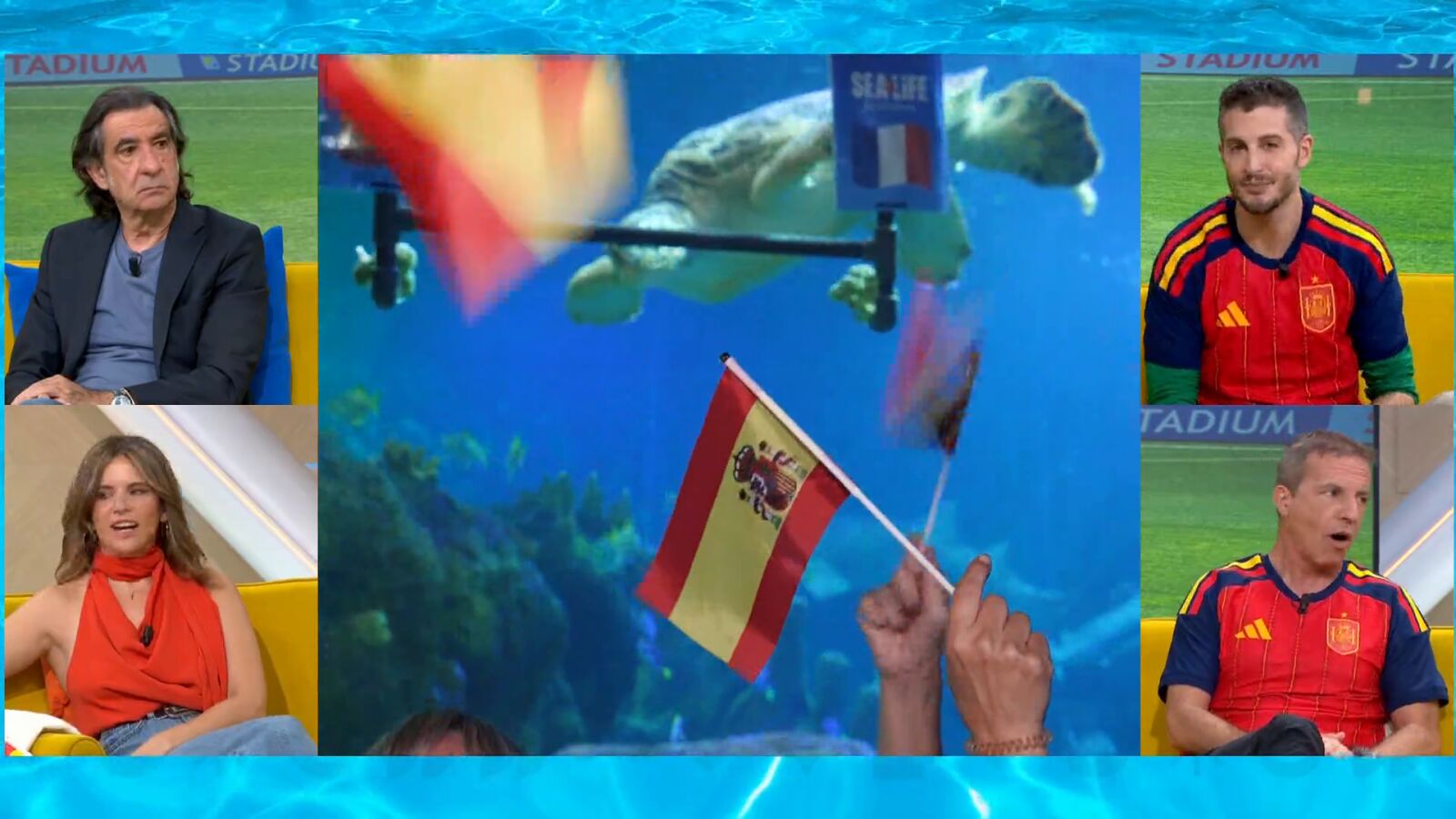 La tortuga Yellow y su vaticino más esperado del Mundial: ¿Quién ganará, Francia o España?