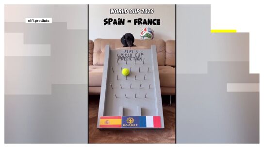 El perro salchicha Elfi predice la victoria de Espa&ntilde;a ante Francia en el Mundial de 2026.
