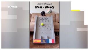 El perro salchicha Elfi predice la victoria de Espa&ntilde;a ante Francia en el Mundial de 2026.