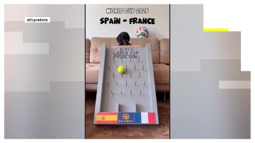 El perro salchicha Elfi predice la victoria de Espa&ntilde;a ante Francia en el Mundial de 2026.