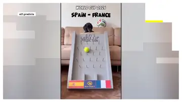 El perro salchicha Elfi predice la victoria de España ante Francia en el Mundial de 2026. El perro salchicha Elfi predice la victoria de España ante Francia en el Mundial de 2026.