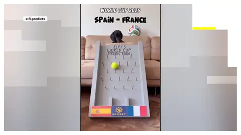 El perro salchicha Elfi predice la victoria de España ante Francia en el Mundial de 2026. El perro salchicha Elfi predice la victoria de España ante Francia en el Mundial de 2026.