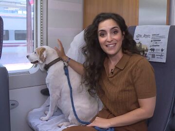 Perros en Renfe
