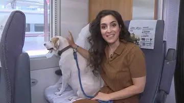 Perros en Renfe Perros en Renfe