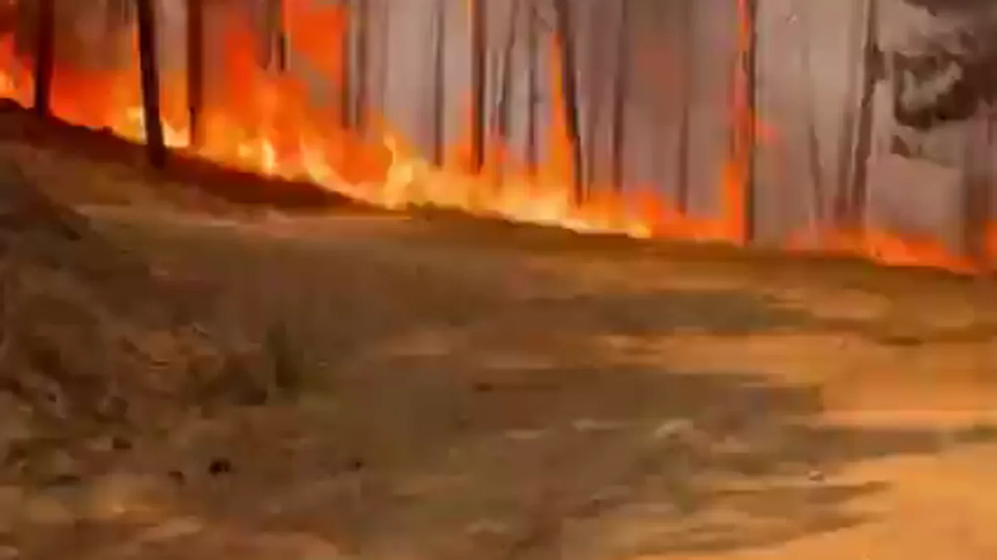 El incendio de Burgohondo se reactiva en el flanco norte El incendio de Burgohondo se reactiva en el flanco norte