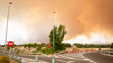 Los incendios en la Comunidad de Madrid se unen en un solo frente y se vigila un tercer frente desde &Aacute;vila