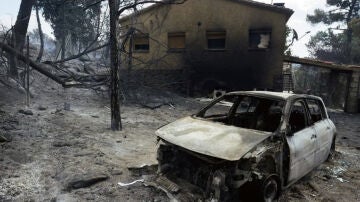 Zona afectada por los incendios