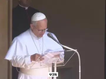 VÍDEO: El Papa pide por las personas afectadas por los devastadores incendios en España y Francia VÍDEO: El Papa pide por las personas afectadas por los devastadores incendios en España y Francia