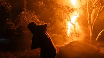 Los incendios forestales han quemado más de 152.000 hectáreas en lo que va de año, seis veces más que en 2025 Los incendios forestales han quemado más de 152.000 hectáreas en lo que va de año, seis veces más que en 2025