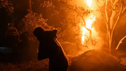 Los incendios forestales han quemado más de 152.000 hectáreas en lo que va de año, seis veces más que en 2025 Los incendios forestales han quemado más de 152.000 hectáreas en lo que va de año, seis veces más que en 2025