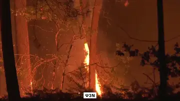 Ascienden a 220.000 los evacuados por el fuego en Gironda (Francia), con 42.000 hectáreas quemadas Ascienden a 220.000 los evacuados por el fuego en Gironda (Francia), con 42.000 hectáreas quemadas