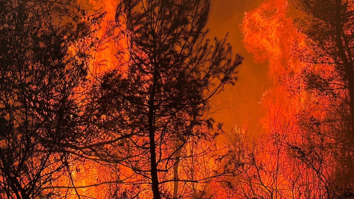 Incendio Castell&oacute;n