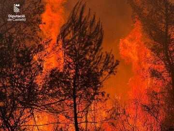 Incendio Castell&oacute;n
