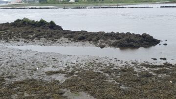 Encuentran el cuerpo sin vida de una mujer de edad avanzada flotando en el r&iacute;o L&eacute;rez