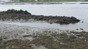 Encuentran el cuerpo sin vida de una mujer de edad avanzada flotando en el río Lérez Encuentran el cuerpo sin vida de una mujer de edad avanzada flotando en el río Lérez