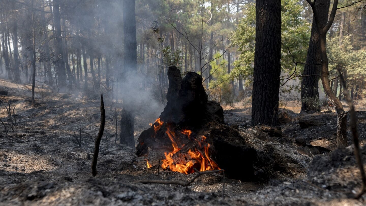 Incendio &Aacute;vila