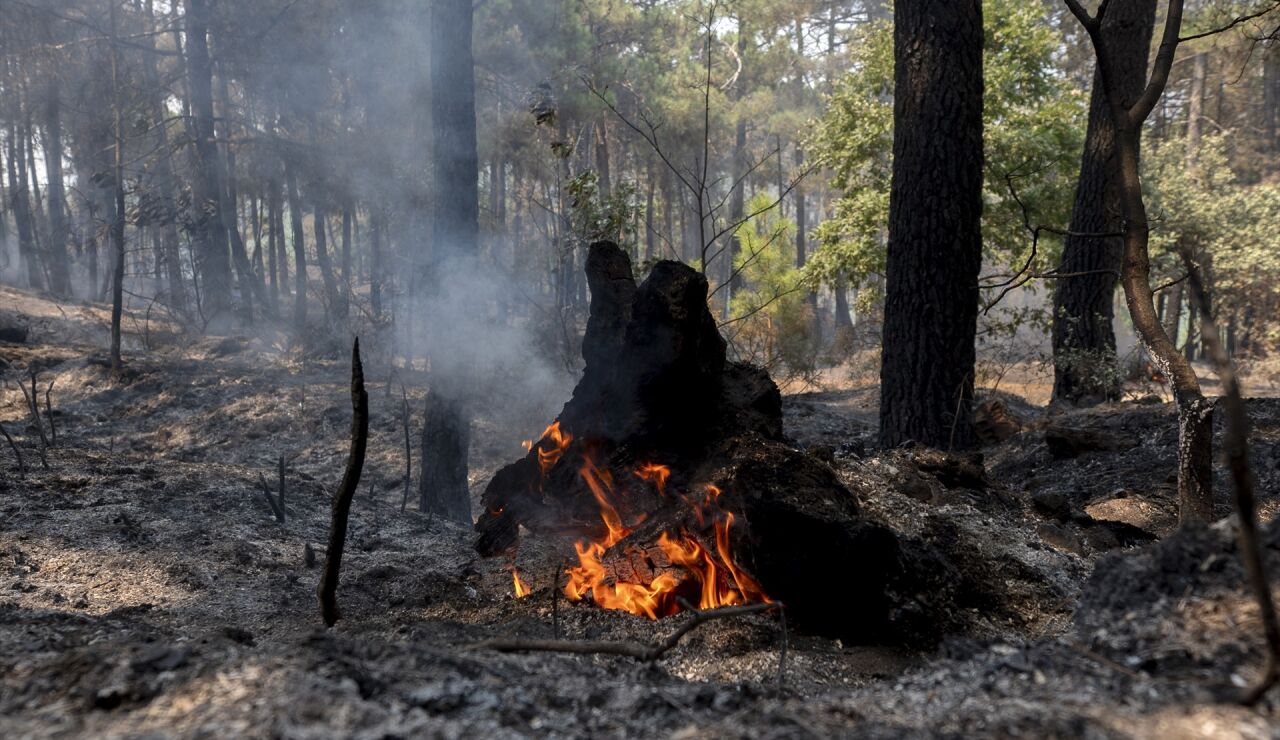 Incendio &Aacute;vila