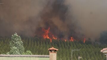 Incendio en Castilla y Le&oacute;n