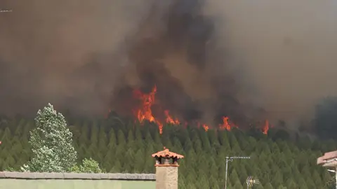 Incendio en Castilla y León Incendio en Castilla y León