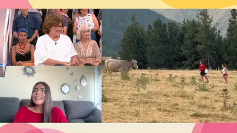 Vaca Vaca