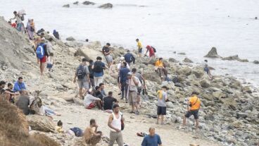 Migrantes