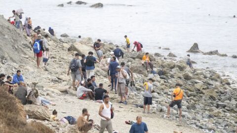 Migrantes