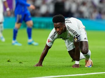 Vin&iacute;cius Jr.