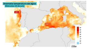 Anomalía temperatura del agua
