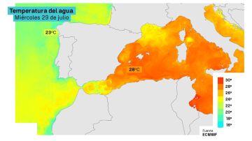 Temperatura del agua