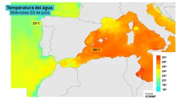 Temperatura del agua Temperatura del agua