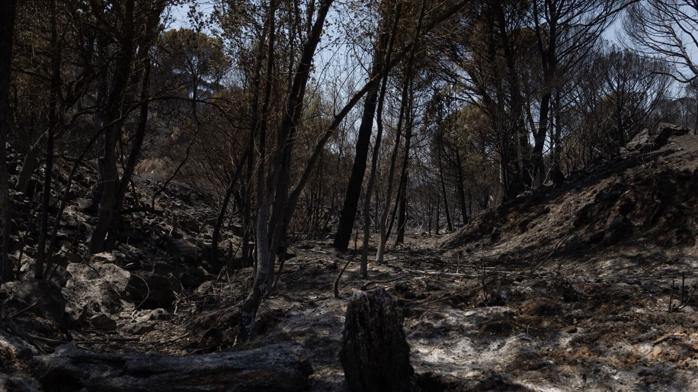 Incendio