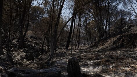 Incendio