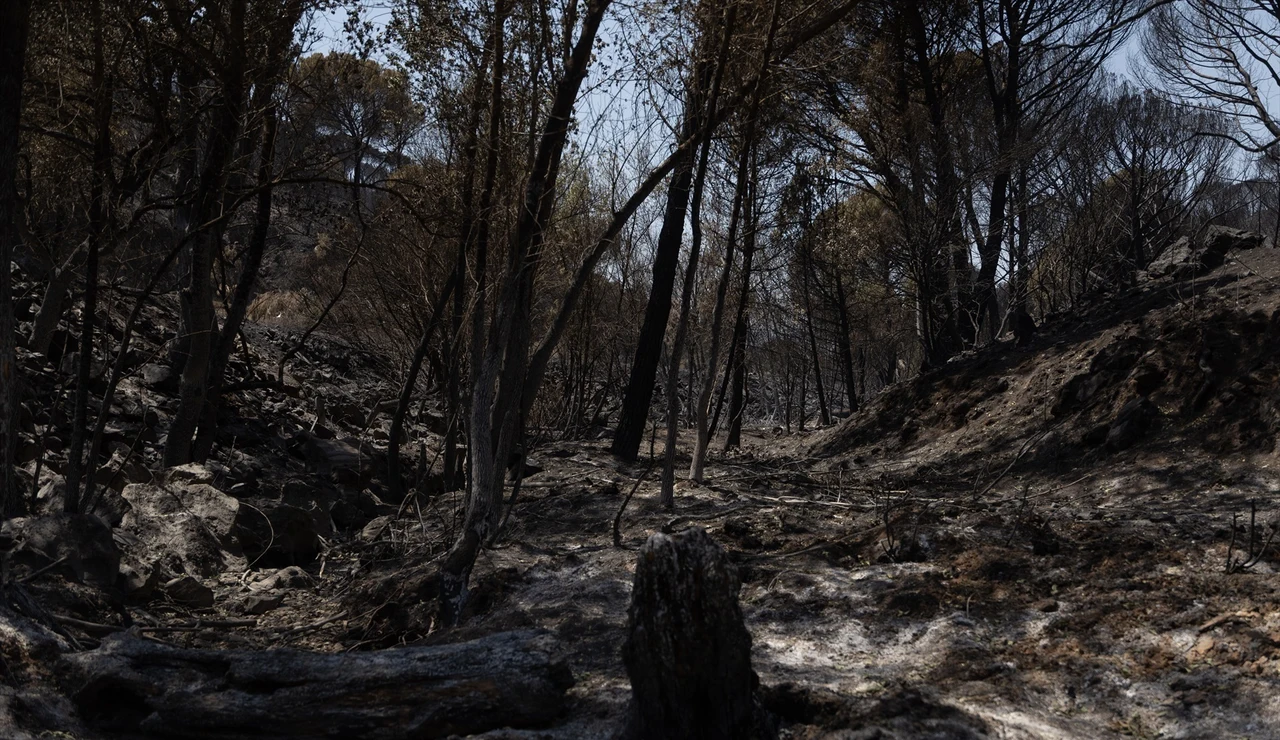 Incendio