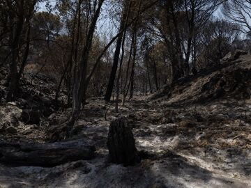 Incendio