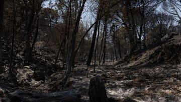 Incendio