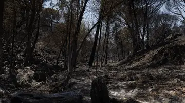 Incendio Incendio