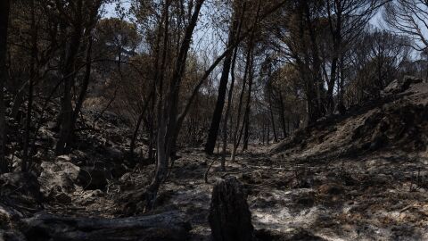 Incendio