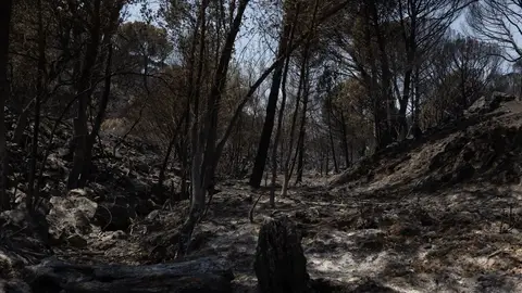 Incendio Incendio