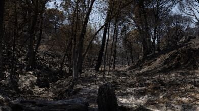 Castellón y Zamora centran la preocupación tras levantarse la emergencia nacional por los incendios de Ávila y Madrid