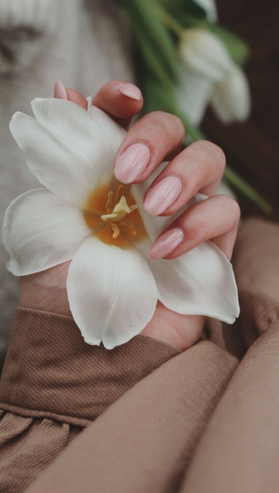 Manicura Coconut Latte