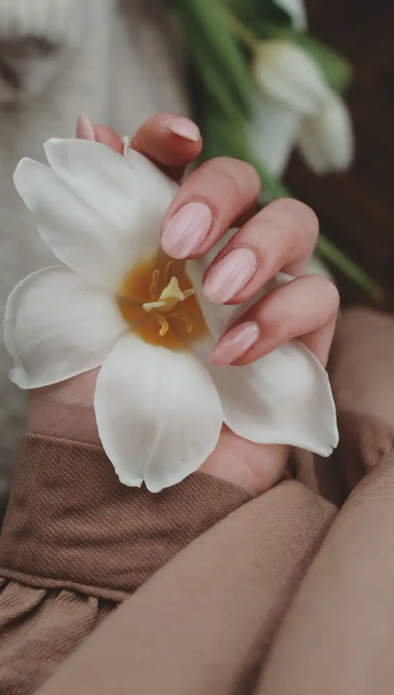 Manicura Coconut Latte Manicura Coconut Latte