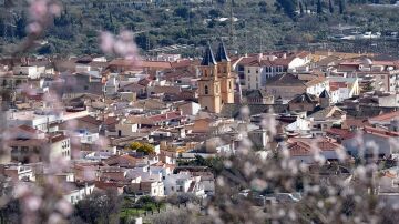 Muere un hombre sin hogar tras quemarse a lo "bonzo" en Granada