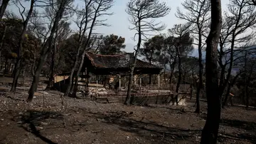 Remite el incendio de Grecia. Remite el incendio de Grecia.